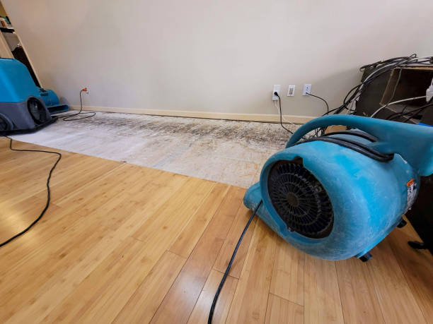 Professional Water Damage Repair technician working in Grayson, CA